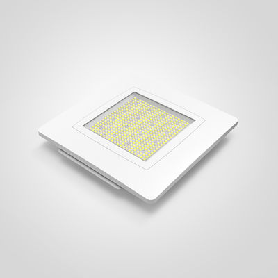 6063 Alluminum Alloy LED Petrol Station Canopy Light 100W for Gas Station Illumination Solution