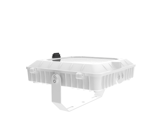 120-277V 50/60Hz Input Voltage LED Canopy Light With And Impact Resistance IK 07 In White Color